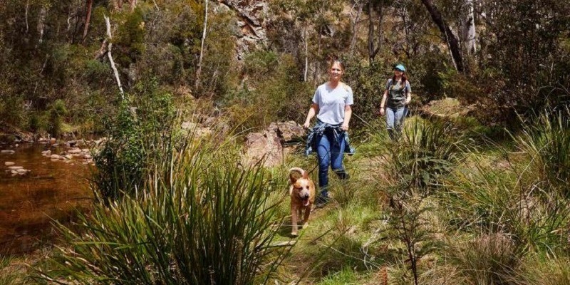 kidsbucketlist.com.au - Lerderderg Gorge - 1