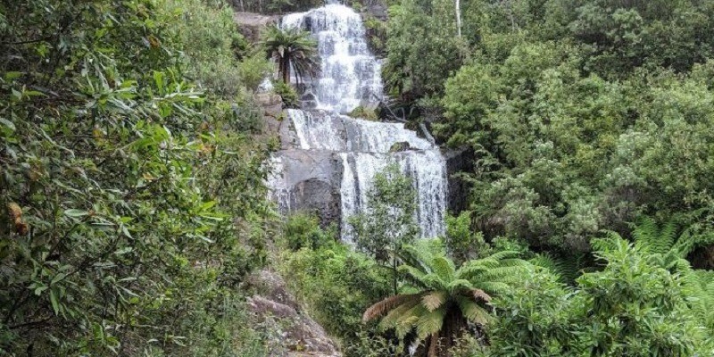 kidsbucketlist.com.au - Fainter Falls - 1