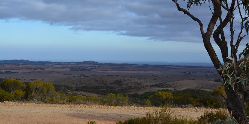 kidsbucketlist.com.au - Cleve Hills Scenic Drive & Lookout - 1