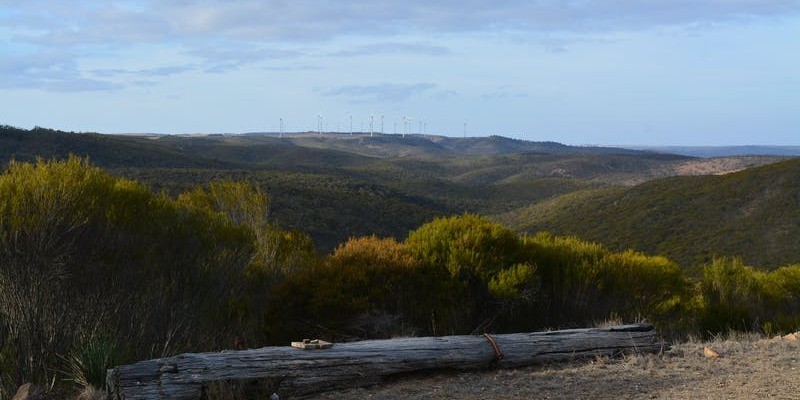 kidsbucketlist.com.au - Cleve Hills Scenic Drive & Lookout - 2