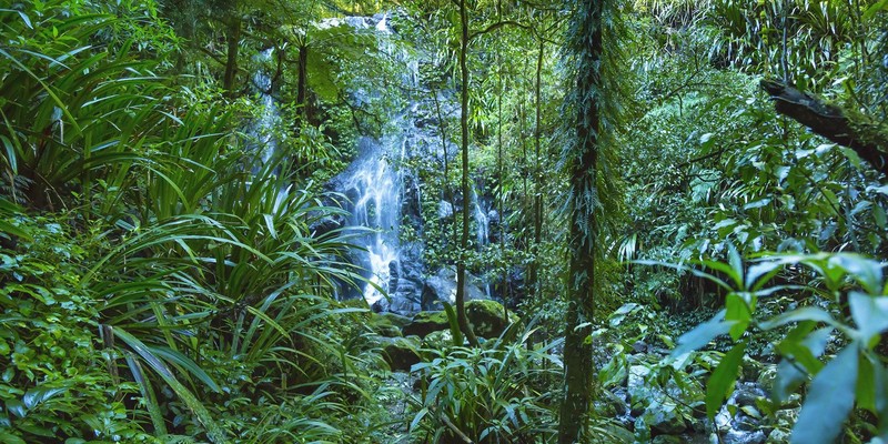 kidsbucketlist.com.au - Chalahn Falls - 1