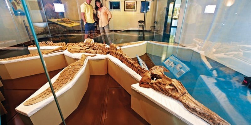 kidsbucketlist.com.au - Kronosaurus Korner - 4