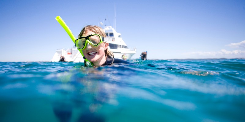 kidsbucketlist.com.au - Dolphin and Seal Swim (3 hours) - 4