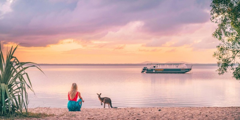 kidsbucketlist.com.au - Noosa Kangaroos - 3