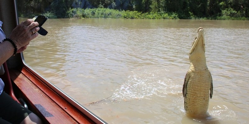 kidsbucketlist.com.au - Jumping Crocodile Cruise - 1