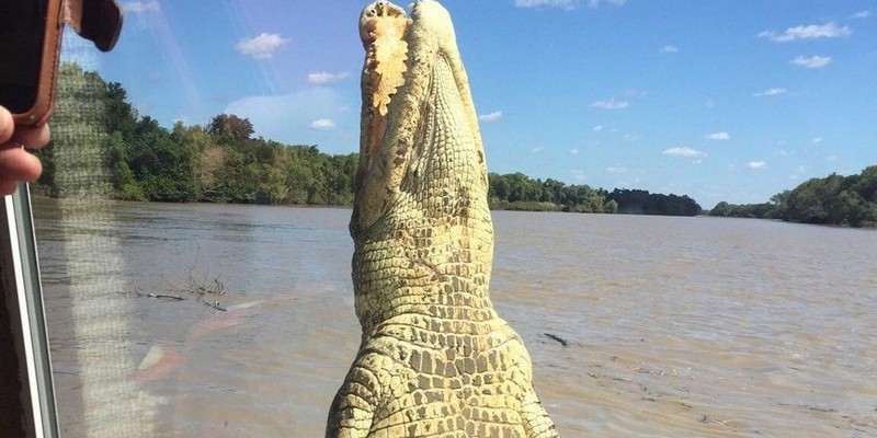 kidsbucketlist.com.au - Jumping Crocodile Cruise - 3
