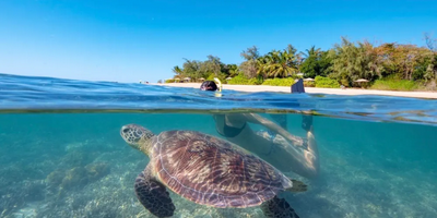 Low Isles Afternoon Cruise