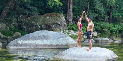 Daintree Rainforest Full Day Tour with Wildlife Cruise