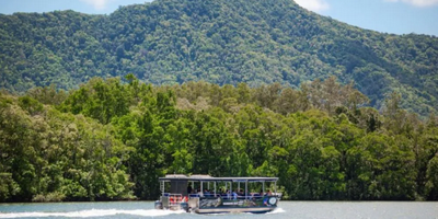 Daintree River Cruise - 1 Hour
