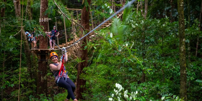Cape Tribulation Zipline Canopy Tour - 2 Hours