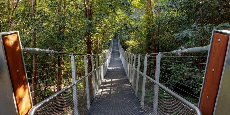 kidsbucketlist.com.au - Swing Bridge Loop Walk  - 2