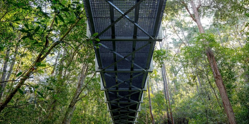 kidsbucketlist.com.au - Swing Bridge Loop Walk  - 3