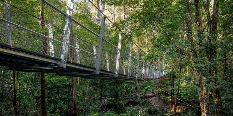 kidsbucketlist.com.au - Swing Bridge Loop Walk  - 4