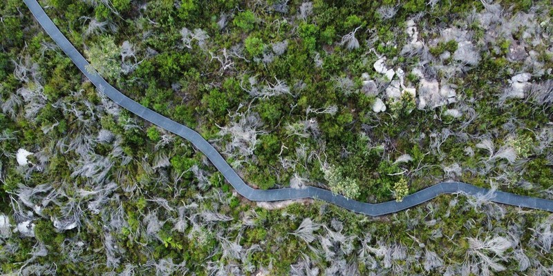 kidsbucketlist.com.au - Dobroyd Head Coastal Walk - 2