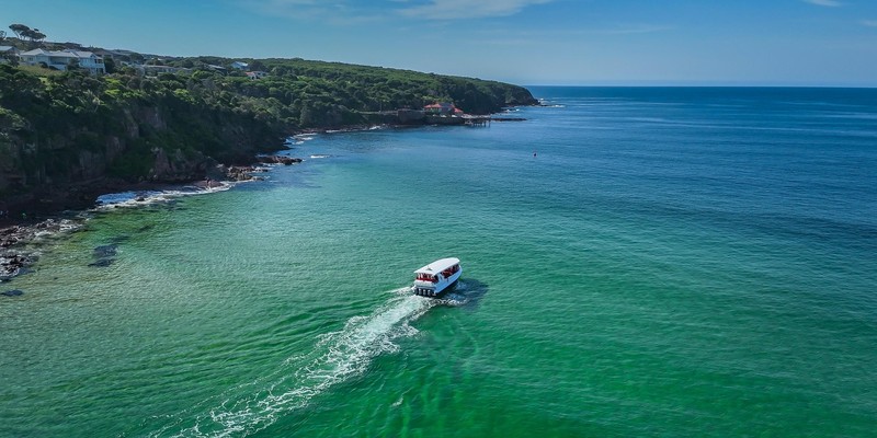 kidsbucketlist.com.au - Merimbula Whale Watching Adventure - 2