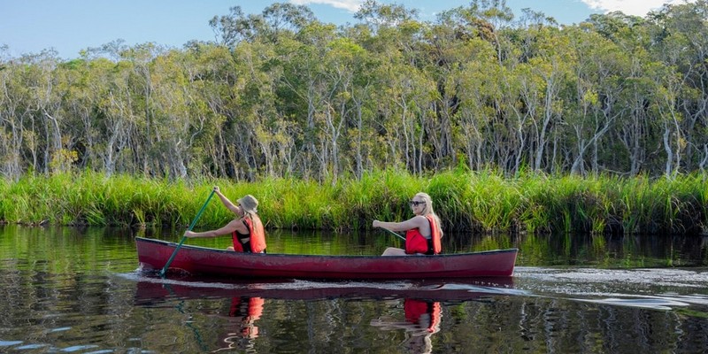kidsbucketlist.com.au - Noosa Habitat Everglades Explorer Tour - 3