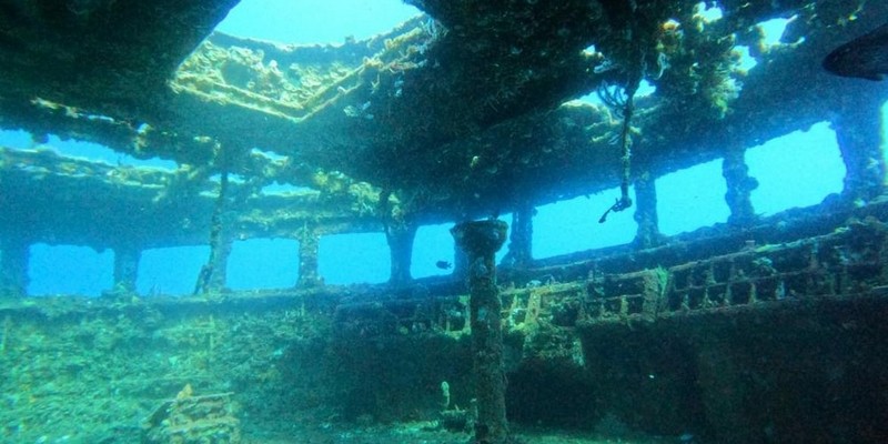 kidsbucketlist.com.au - Ex-HMAS Swan Wreck Double Dive Experience - 3