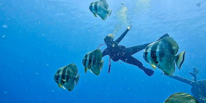 kidsbucketlist.com.au - Ex-HMAS Swan Wreck Double Dive Experience - 5