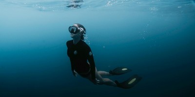 Sea Turtle Snorkel Tour