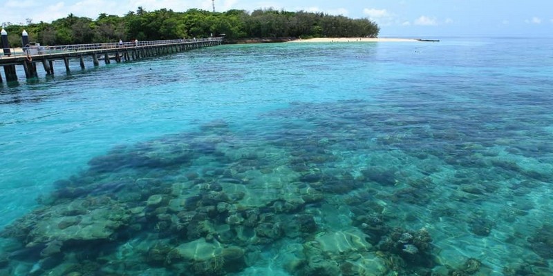 kidsbucketlist.com.au - Green Island & Cairns City Sights Day Tour - 1