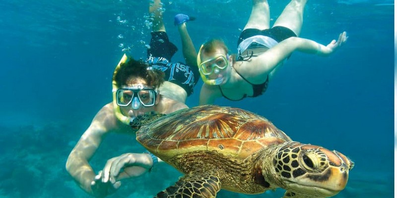 kidsbucketlist.com.au - Green Island & Cairns City Sights Day Tour - 3