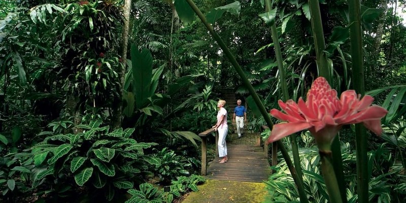 kidsbucketlist.com.au - Green Island & Cairns City Sights Day Tour - 6