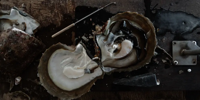 kidsbucketlist.com.au - Cygnet Bay Pearl Farm Harvest Tour - 2