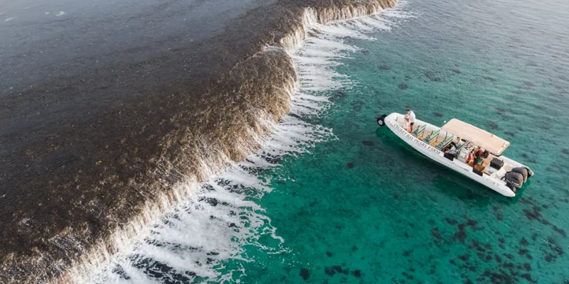 kidsbucketlist.com.au - Waterfall Reef Sea Safari - 1