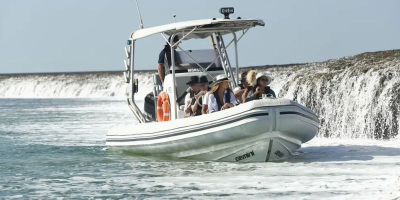 kidsbucketlist.com.au - Waterfall Reef Sea Safari - 2
