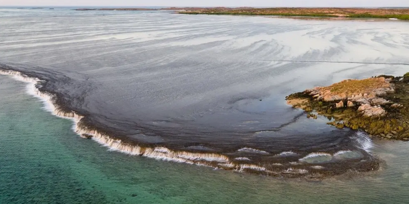 kidsbucketlist.com.au - Waterfall Reef Sea Safari - 4