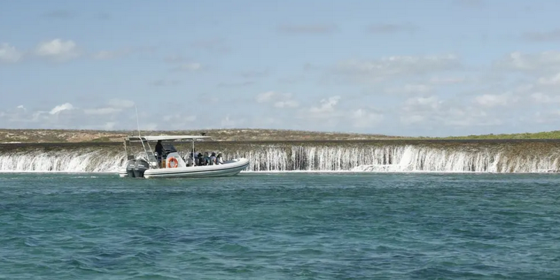 kidsbucketlist.com.au - Waterfall Reef Sea Safari - 5
