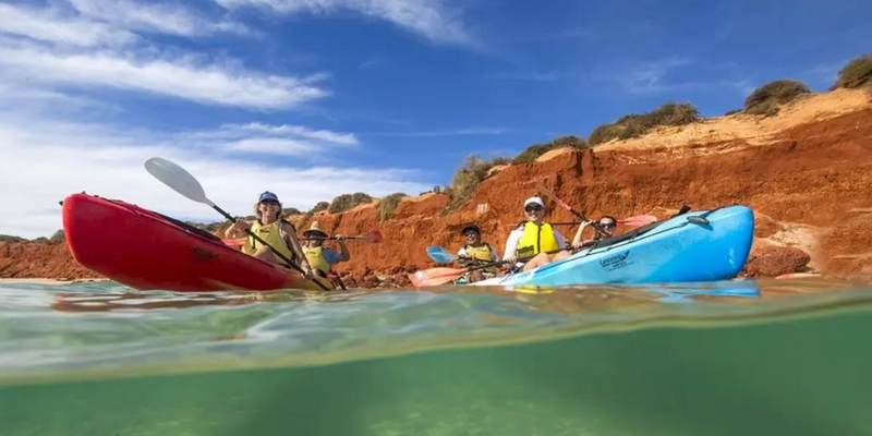 kidsbucketlist.com.au - Kayak and Wildlife Adventure Tour - 1