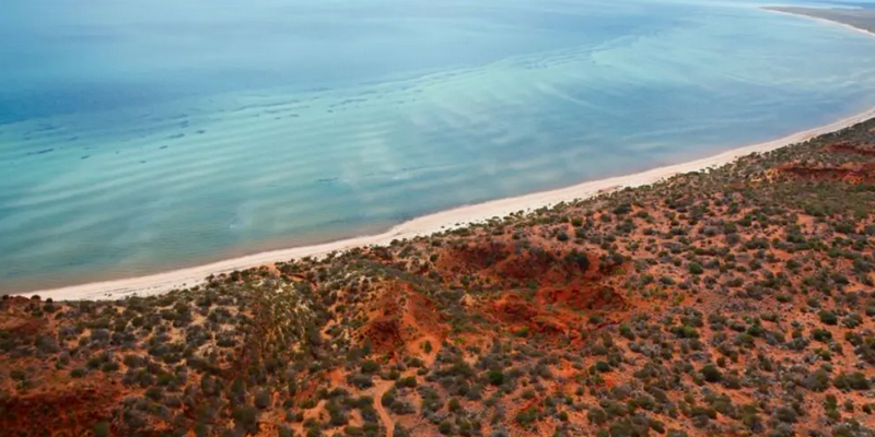 kidsbucketlist.com.au - Kayak and Wildlife Adventure Tour - 2