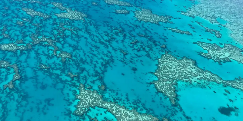 kidsbucketlist.com.au - Whitsunday Islands & Reef Scenic Flight - 7