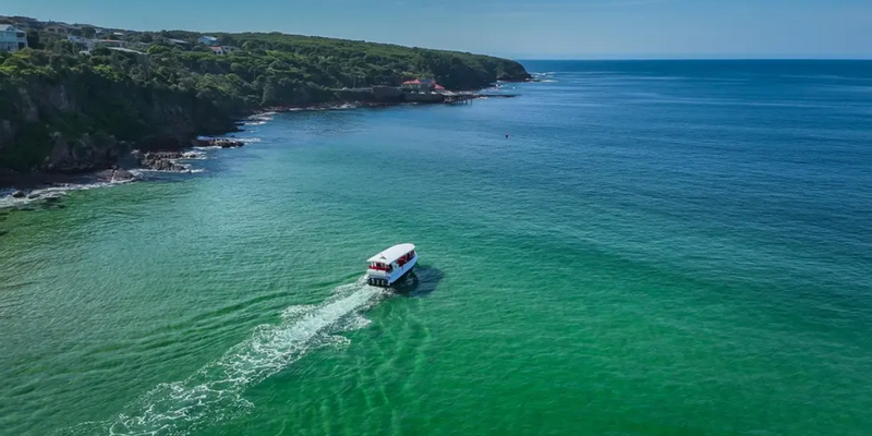 kidsbucketlist.com.au - Merimbula Wildlife Adventure Scenic Cruise - 2