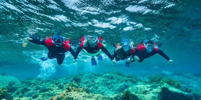 Rottnest Island Snorkel Experience Tour