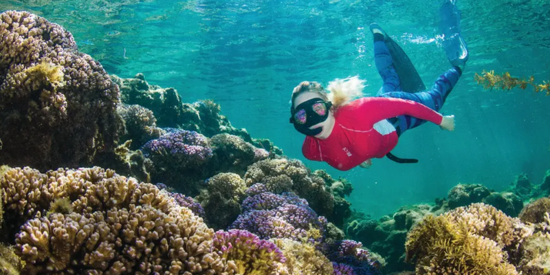 kidsbucketlist.com.au - Rottnest Island Snorkel Experience Tour - 3