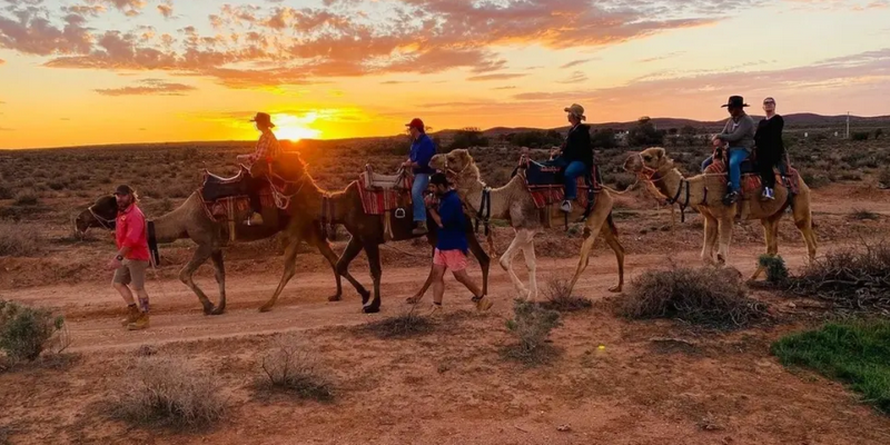kidsbucketlist.com.au - Silverton Sunset Camel Tour - 1