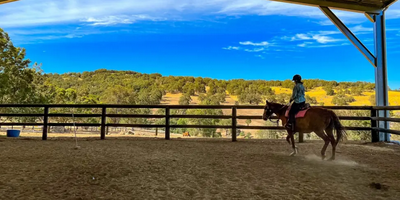 Private Horse Riding Lesson  - Jarrahdale Equestrian