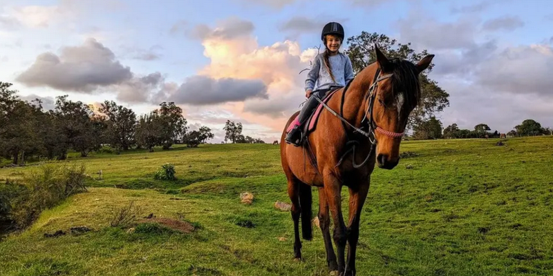 kidsbucketlist.com.au - Private Horse Riding Lesson  - Jarrahdale Equestrian - 6