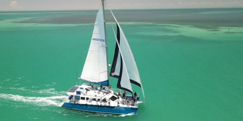 kidsbucketlist.com.au - Monkey Mia Marine Life Cruise - 5