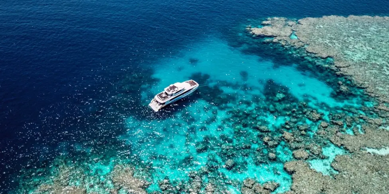 kidsbucketlist.com.au - SilverSonic Dive and Snorkel Day Trip from Port Douglas - 1