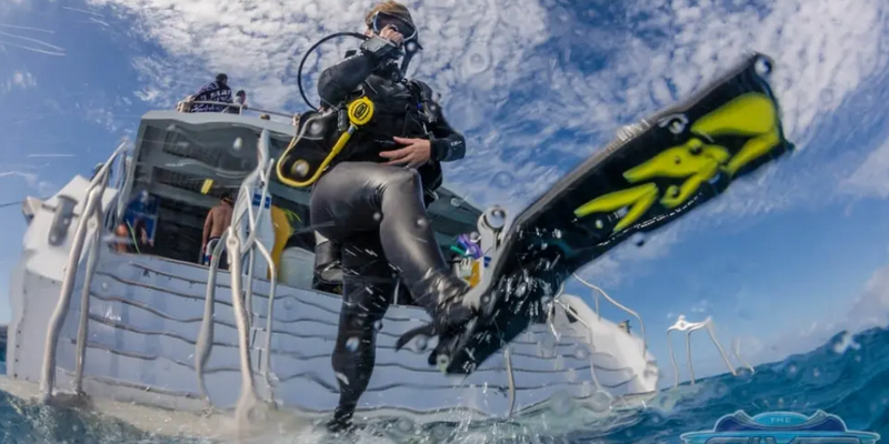 kidsbucketlist.com.au - SilverSonic Dive and Snorkel Day Trip from Port Douglas - 4