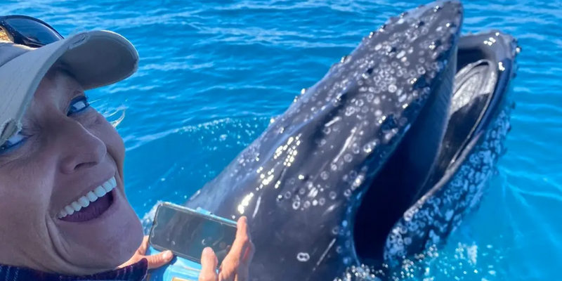 kidsbucketlist.com.au - Noosa Ocean Adventures Whale Watch - 2