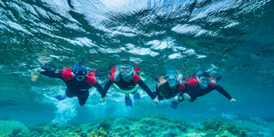 Busselton Jetty and Underwater Sculptures Snorkelling