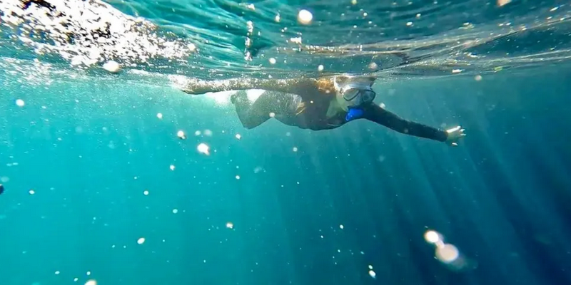 kidsbucketlist.com.au - Busselton Jetty and Underwater Sculptures Snorkelling - 2