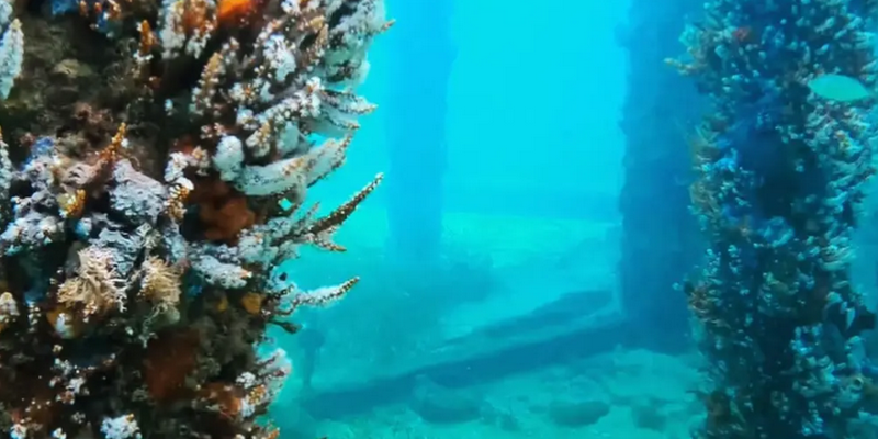 kidsbucketlist.com.au - Busselton Jetty and Underwater Sculptures Scuba Dive - 2