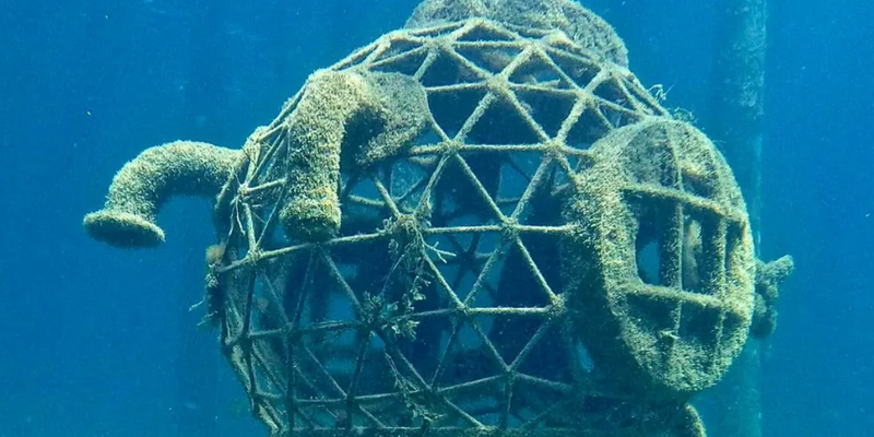 kidsbucketlist.com.au - Busselton Jetty and Underwater Sculptures Scuba Dive - 3