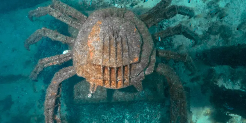 kidsbucketlist.com.au - Busselton Jetty and Underwater Sculptures Scuba Dive - 6