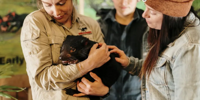 Devils @ Cradle Sunset Experience